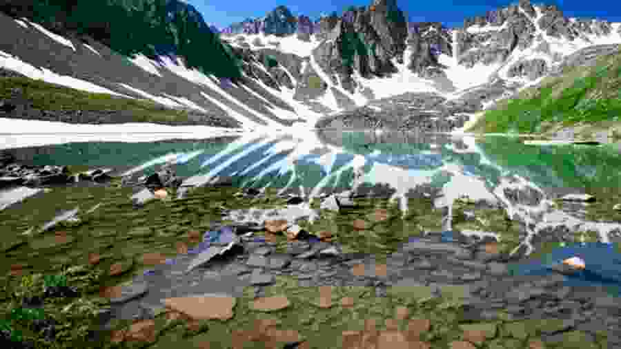 Kari Lake