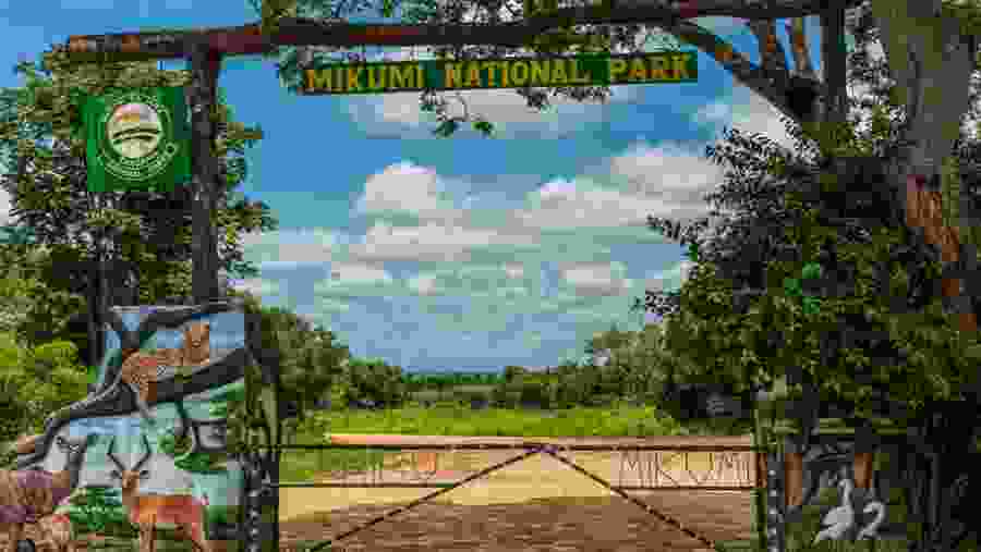 Mikumi National Park