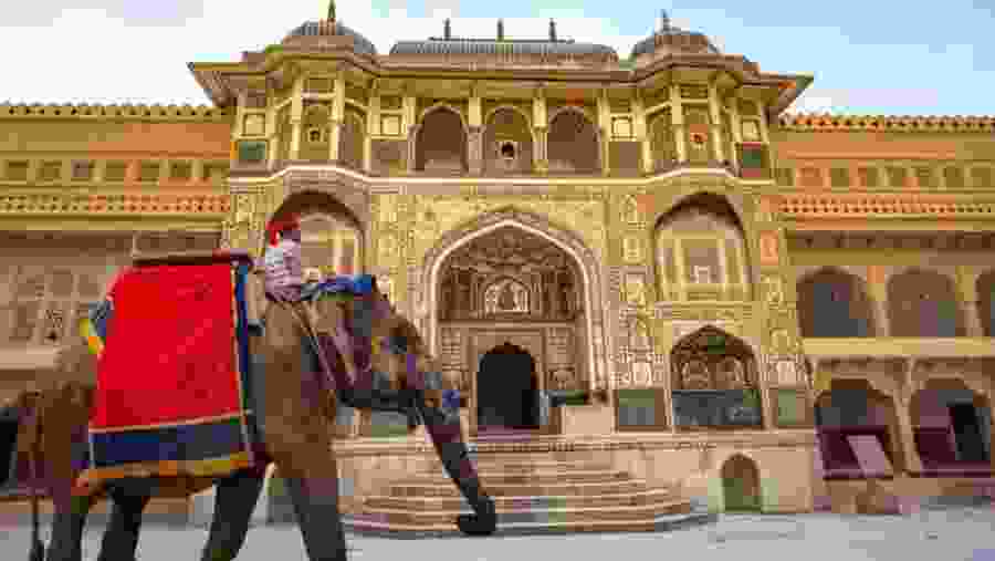 Elephant Ride At Amer Fort