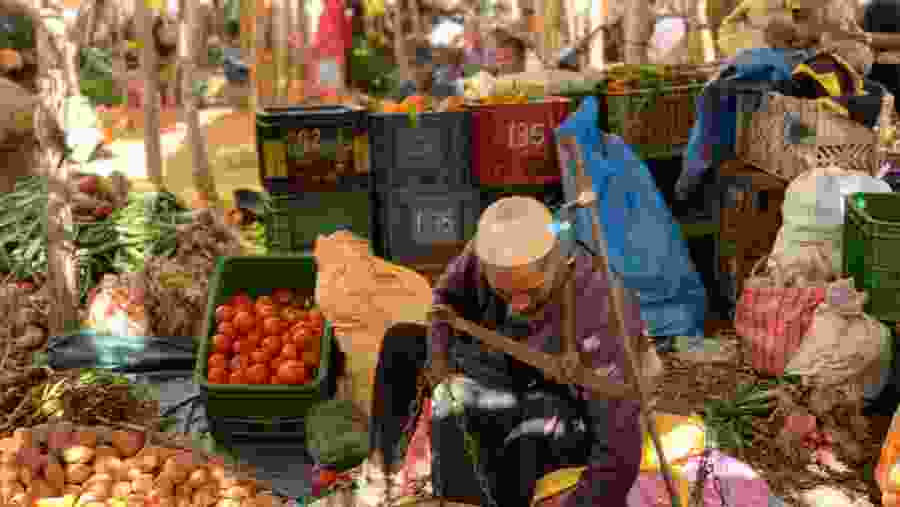 Berber weekly market