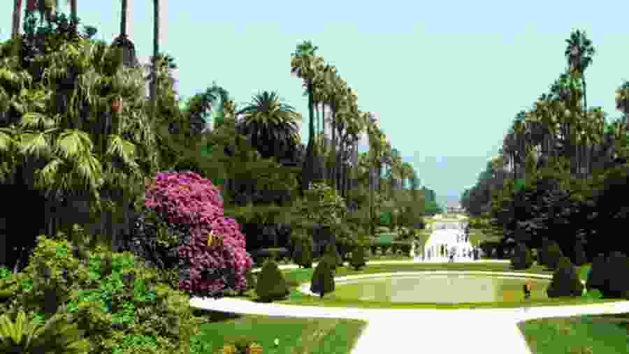 Botanical Garden Hamma