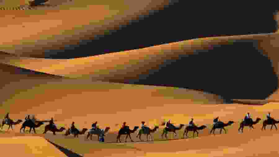 Sahara Desert Trip