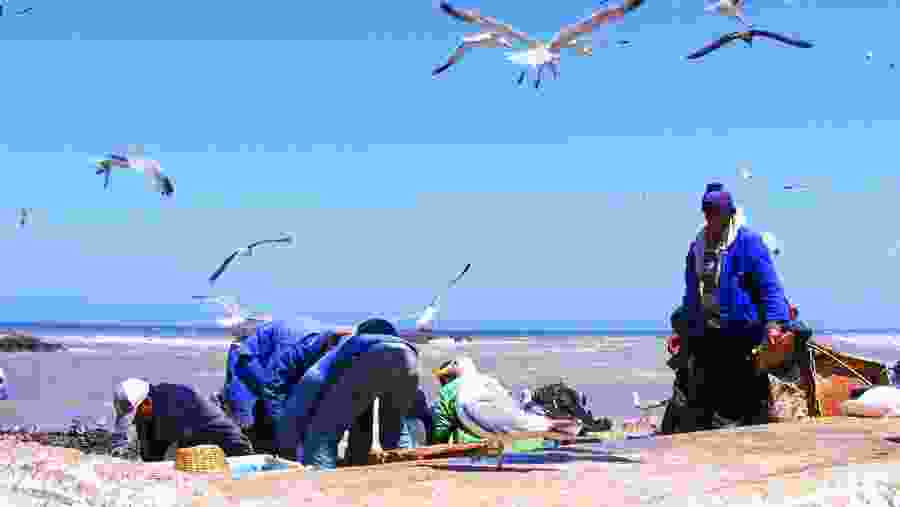 Beach at Essaouira