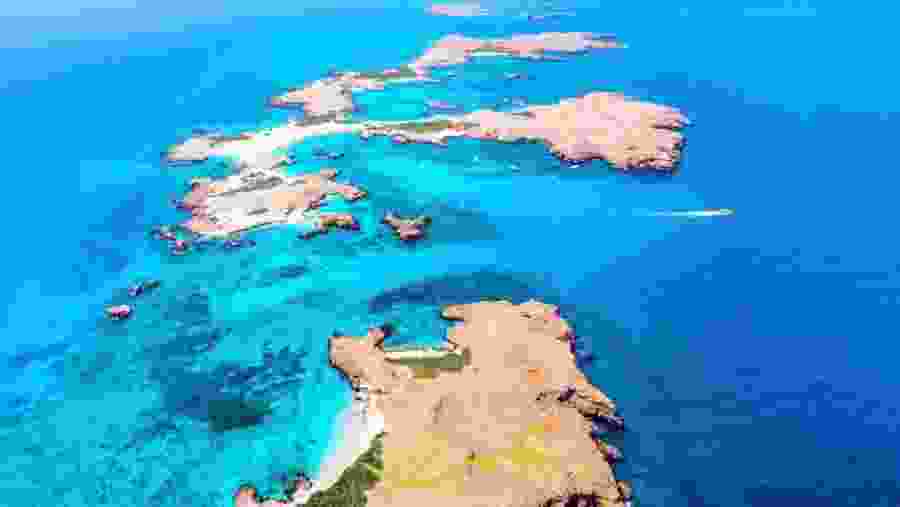 Dimaniyat Island Natural Reserve