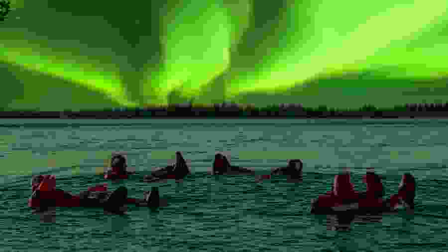 Ice Floating in Forest Lake