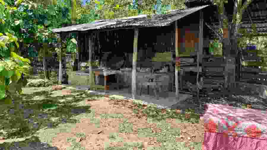 Toledo Ranch, Cozumel, Mexico