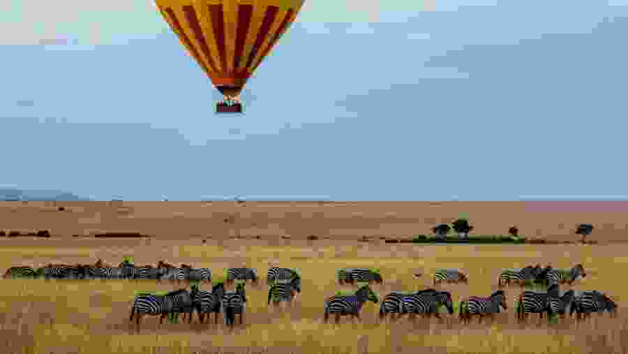 Go for Balloon Safari in Savannah Grasslands