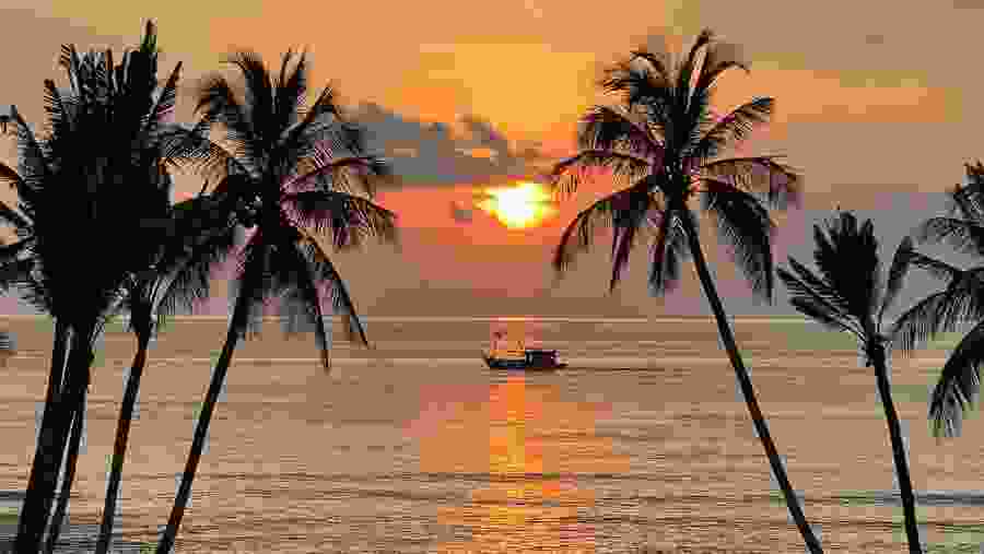 Enjoy a delightful afternoon and evening exploring two stunning islands