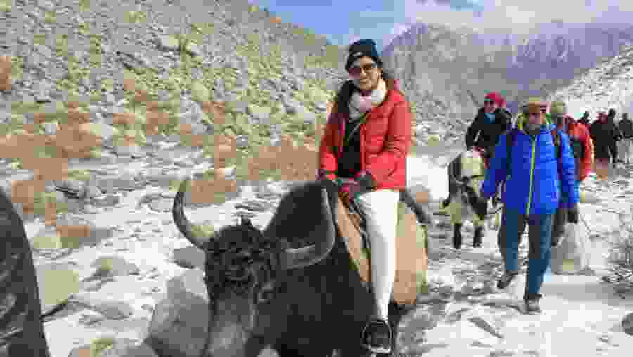 Yak Safari Pakistan 