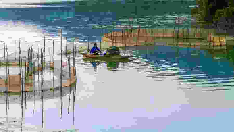 Enjoy Boat Ride to the Reserve