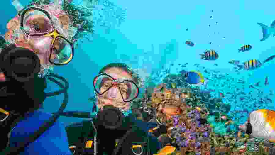 Snorkeling Trip in Sharm El Sheikh