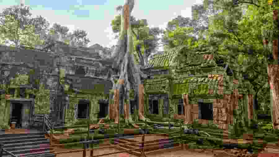 Ta Prohm Temple
