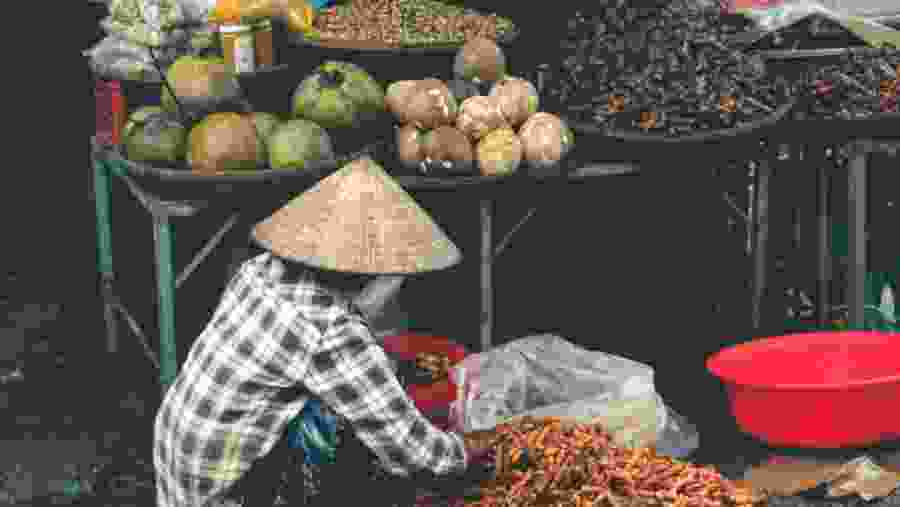 Vendor In The Street Market Of Hanoi, Vietnam