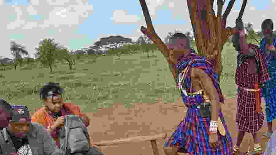 Footprints in the Savannah