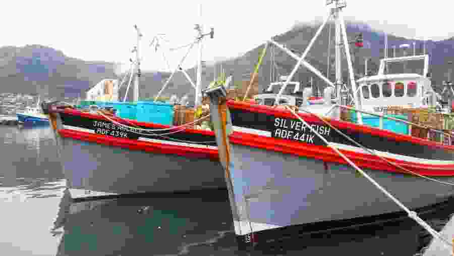 Boats At V&A Waterfront