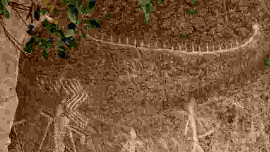 See the Rock Carvings