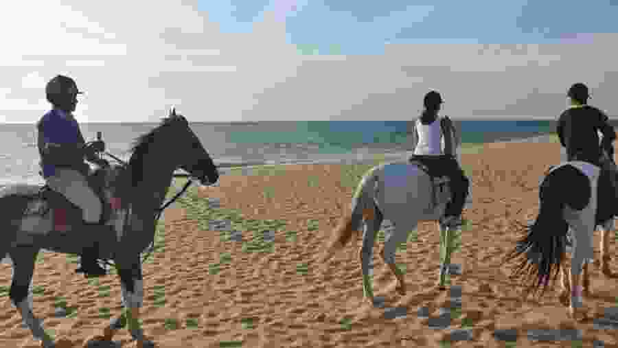 Horse Riding In Kalpitiya