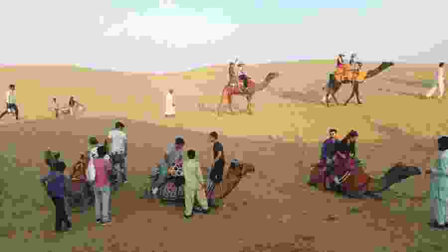 Go on camel rides in the Thar Desert