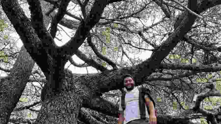 Cedars of Chouf, Beiteddine & Deir El Qamar