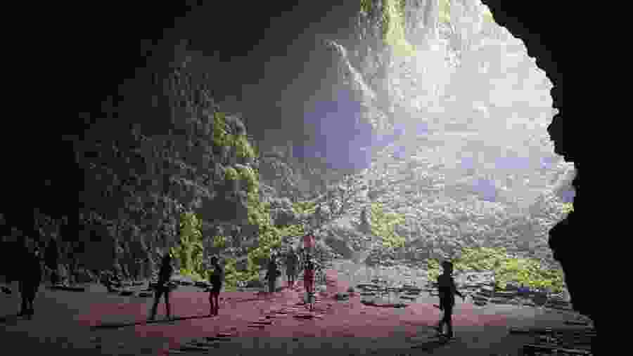 Inside Jomblang Cave Yogyakarta