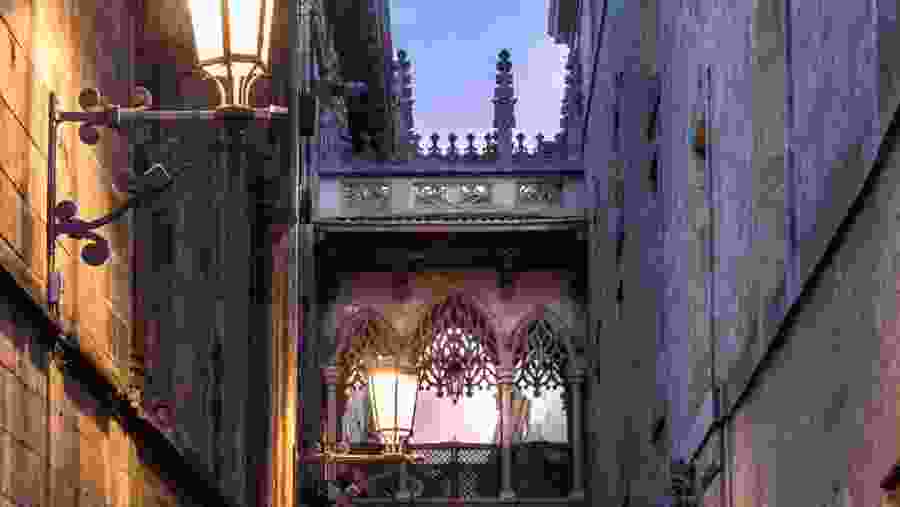 Visit the Gothic Quarters