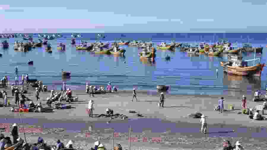 Head to Mui Ne Fishing Village