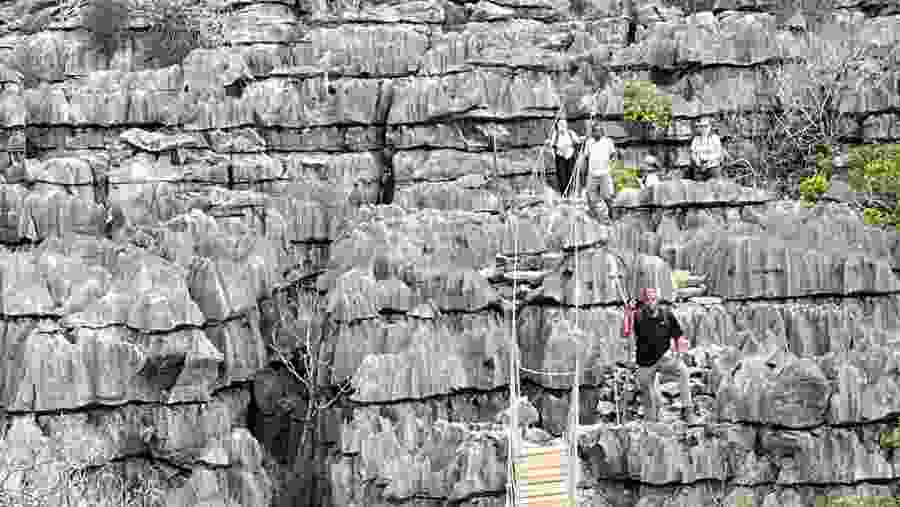 Baobab avenu-Tsingy de Bemaraha
