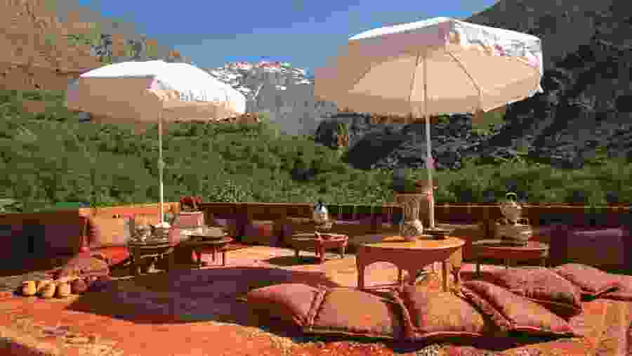 Lounging in the open