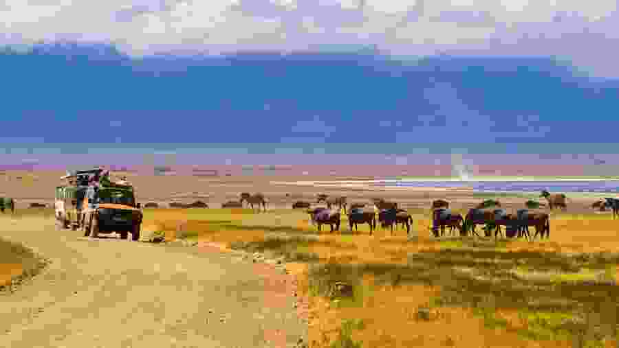 Crater Floor Area, Ngorongoro Crater, Tanzania