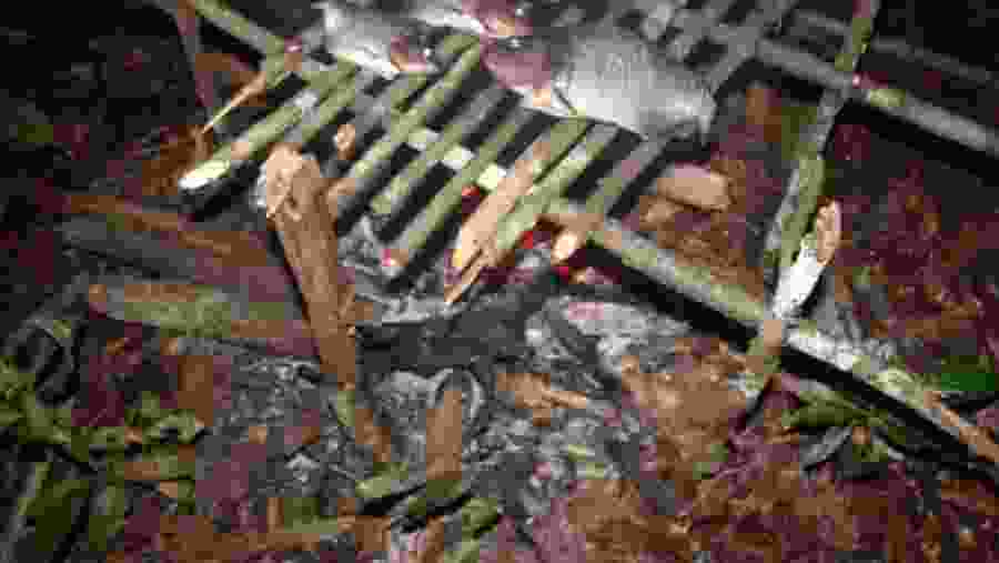 Roasting the fresh catch in the Camp