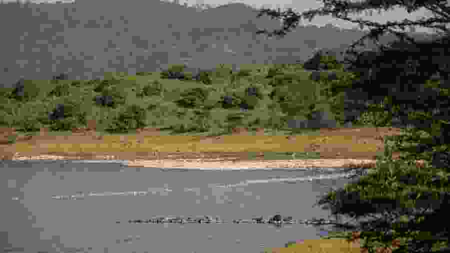 Lake Manyara