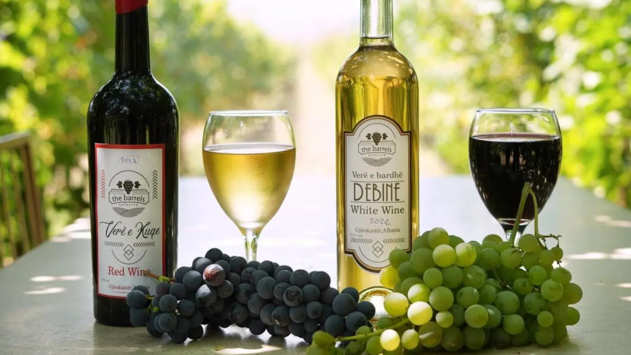 Gjirokaster: Vineyard & Wine Tasting Experience