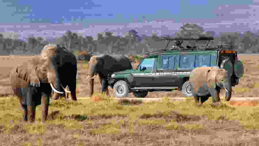 Embark on Thrilling Game Drives in Masai Mara