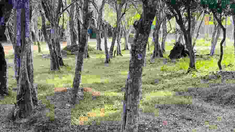 Immerse in panoramic and lush landscapes