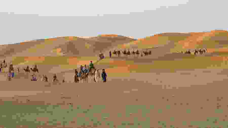 the Sahara desert