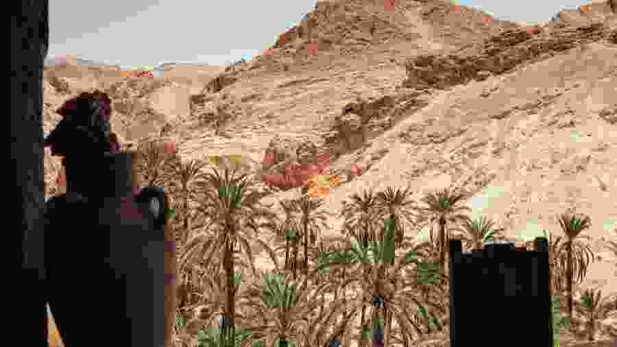 Chebika Oasis