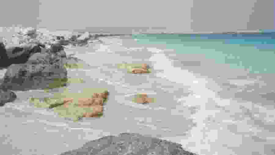 El Alamein Tour in Egypt