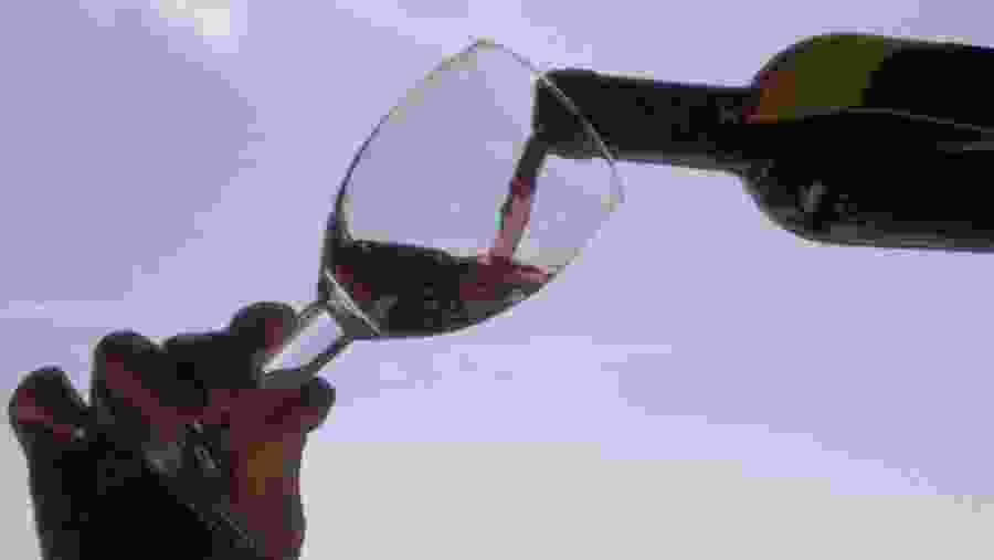 try Italian wine