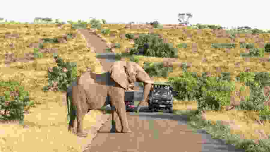 Hluhluwe Games Reserve