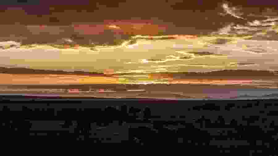 Splendid Sunset 