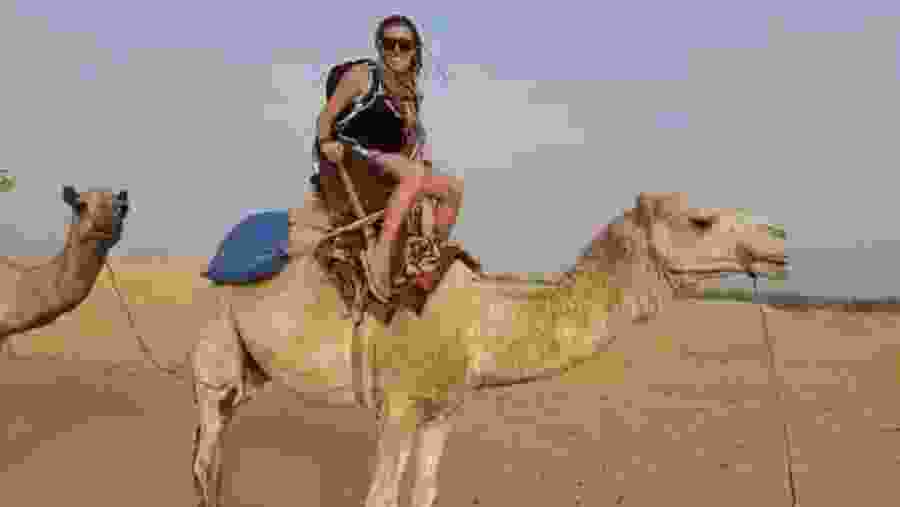 Camel safari