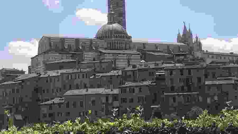 Siena