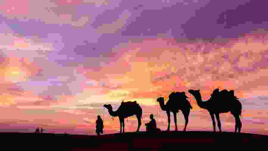 Douz region of Tunisia