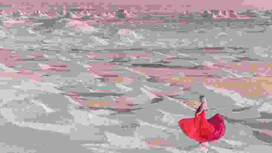 White Desert National Park