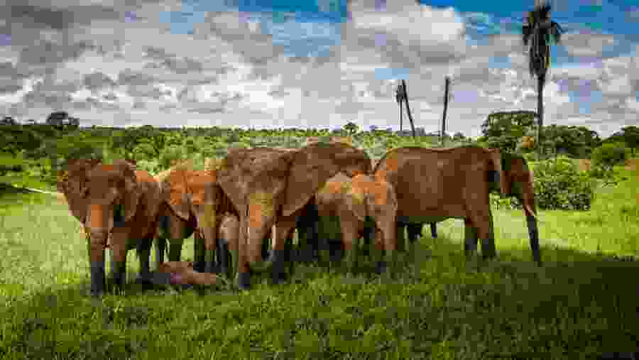 Tarangire National Park