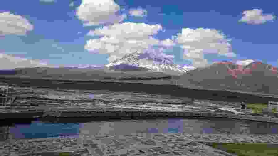 Sajama National Park