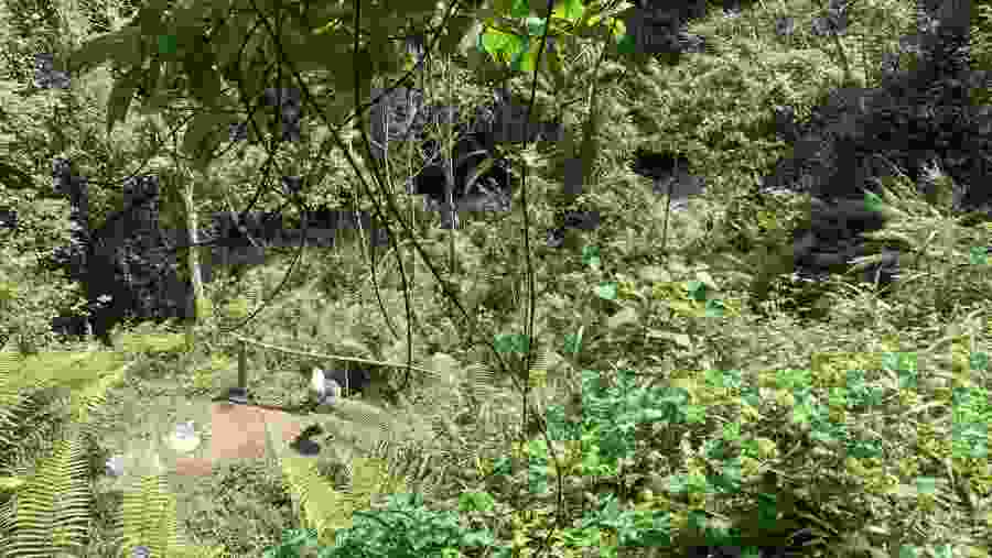 Hike to Mount Meru Waterfall, Arusha