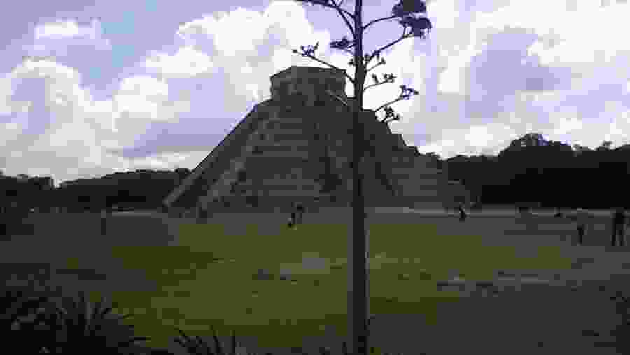 The Castle