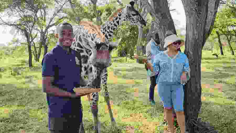 Wildlife Experience