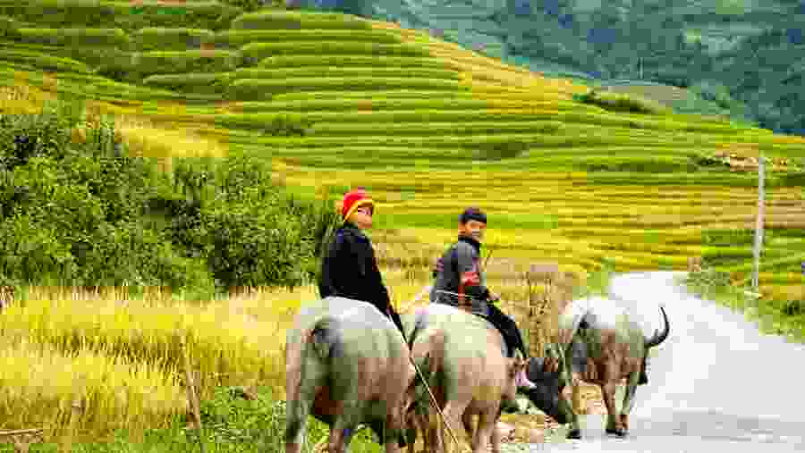 Locals of Ta Van village